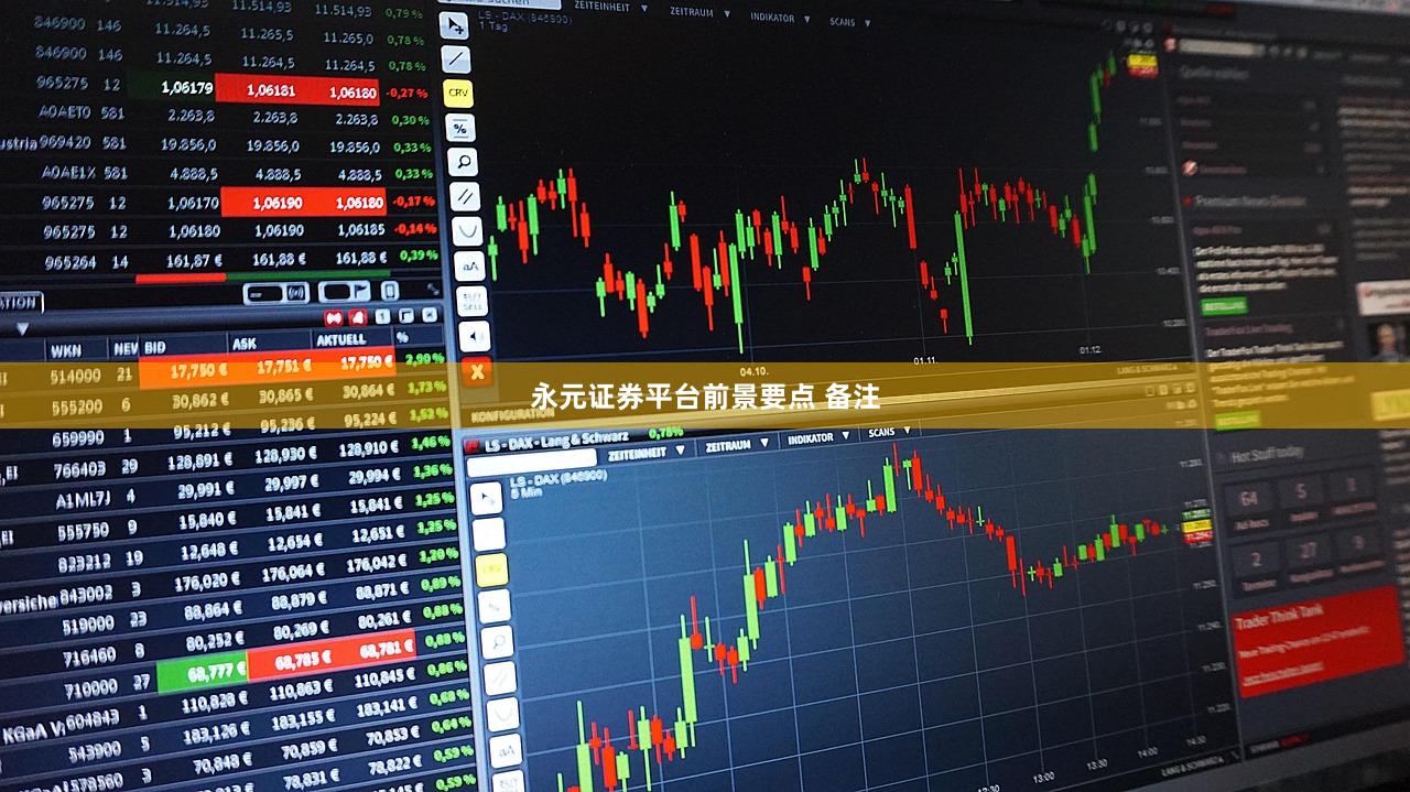 永元证券平台前景要点 备注