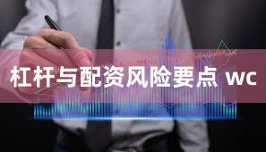 杠杆与配资风险要点 wc